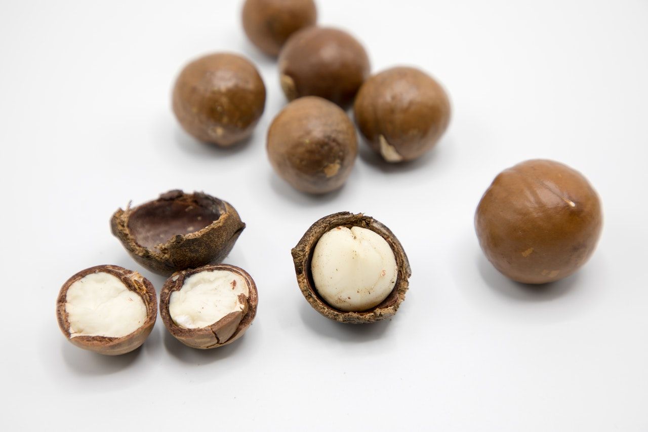 Noix De Macadamia Bio La Fourche Noix De Macadamia Bio La Fourche